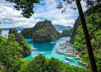 Uncover the Majestic Beauty of Palawan: From Island Hopping to Wildlife Adventures