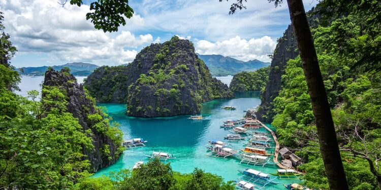 Uncover the Majestic Beauty of Palawan: From Island Hopping to Wildlife Adventures