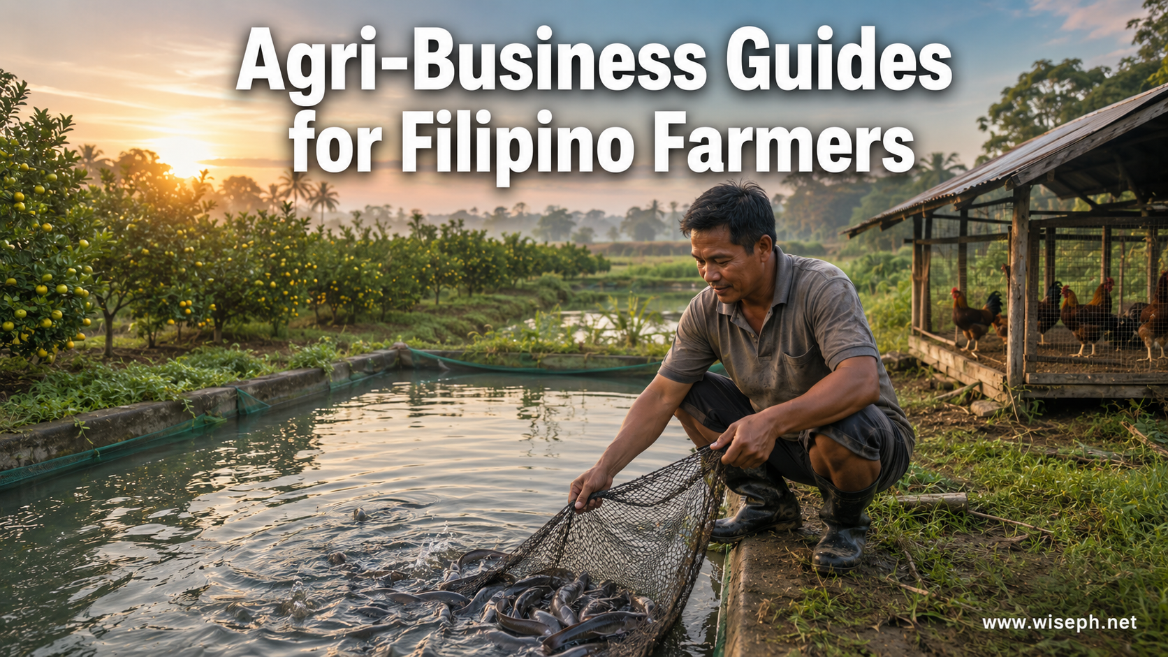 A Filipino farmer checks on his hito fishpond at sunrise, with rows of calamansi trees and a chicken coop
 visible across his smallholding in the Philippine countryside.
