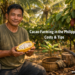 A Filipino farmer holds a freshly harvested ripe cacao pod on a coconut-cacao intercrop farm in Mindanao, Philippines.