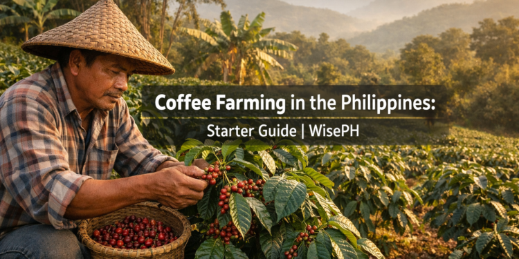 A Filipino farmer in a salakot hat selectively picking ripe red coffee cherries on a hillside farm with banana and shade trees in the background.